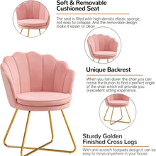 Vanity Chair With Back, Velvet Shell Accent For Living Room, Criss Cross With Golden Legs, Makeup For Bedroom Desk No Wheels, Khaki, Pink, Black, White, Grey