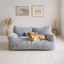 Grey Large Cat Sofa Bed, Puppy Couch with Backrest and Removable Pillows, Large 2 Sizes Available 55x38x18cm or 65x46x30cm