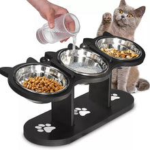 Cat and Dog Indoor Raised Feeding Bowl with Stand Elevated Cat Bowls Tilted Raised Dog Bowl with Stand 3 Dog Food Bowl Pet Feeding Set 42x16x15cm